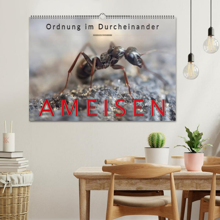 Ameisen - Ordnung im Durcheinander (CALVENDO Wandkalender 2025)