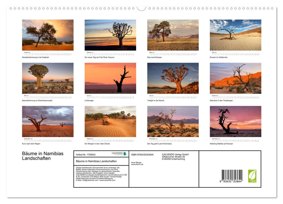 Bäume in Namibias Landschaften (CALVENDO Premium Wandkalender 2025)