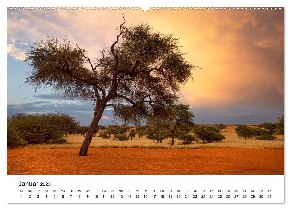 Bäume in Namibias Landschaften (CALVENDO Premium Wandkalender 2025)