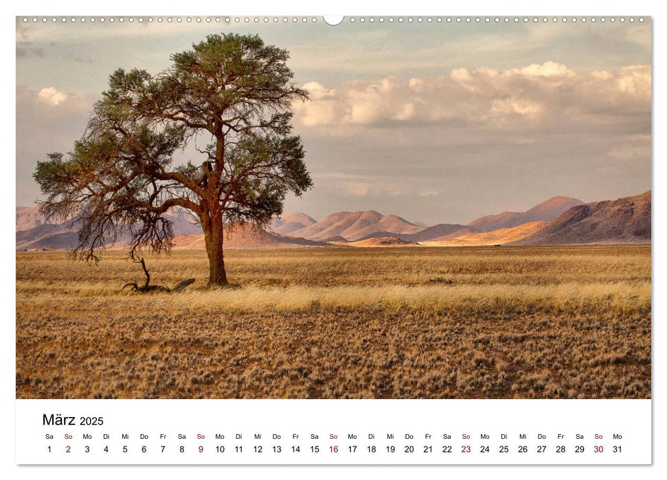 Bäume in Namibias Landschaften (CALVENDO Premium Wandkalender 2025)