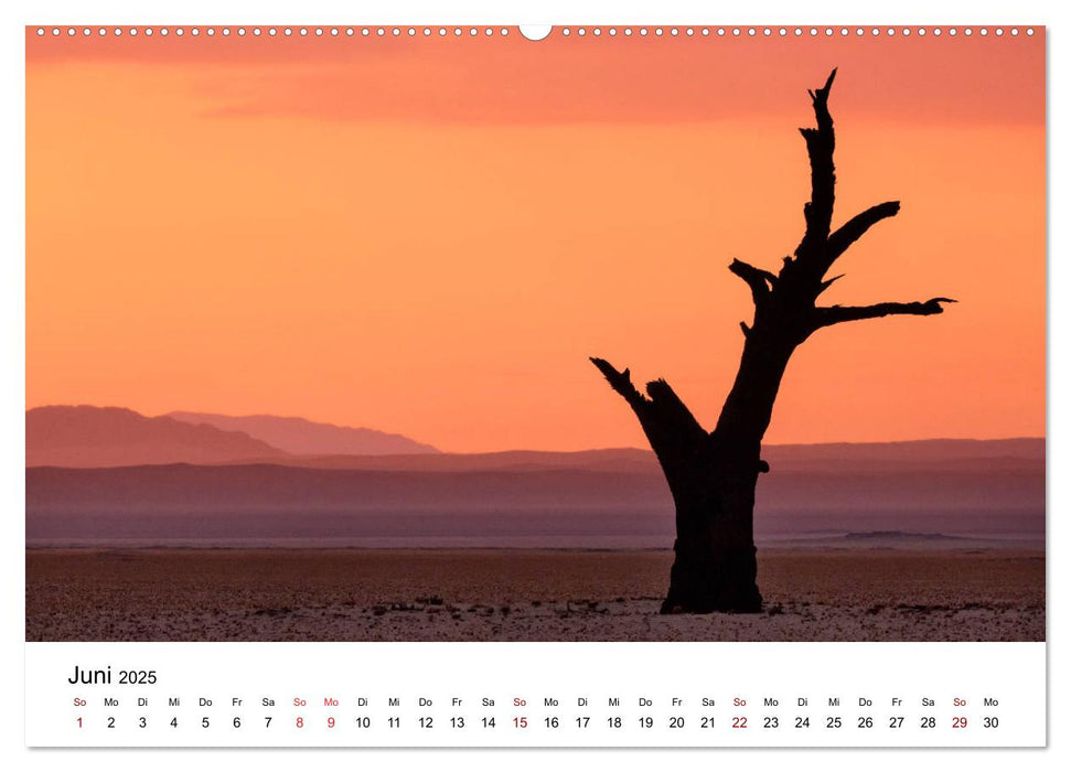 Bäume in Namibias Landschaften (CALVENDO Premium Wandkalender 2025)