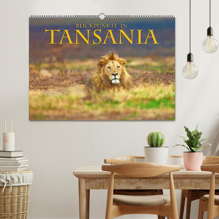 Blickpunkte Tansanias (CALVENDO Wandkalender 2025)