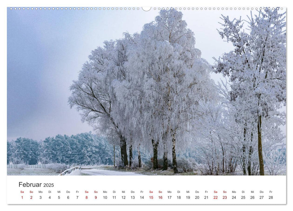 Schrobenhausen - Lenbachstadt im Spargelland (CALVENDO Premium Wandkalender 2025)