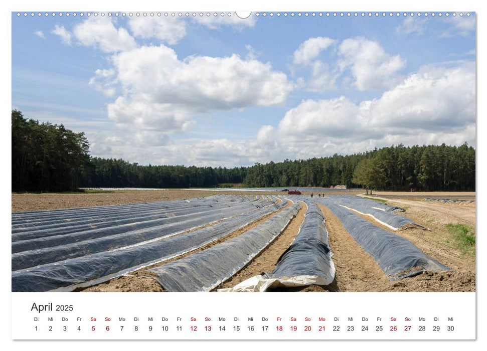 Schrobenhausen - Lenbachstadt im Spargelland (CALVENDO Premium Wandkalender 2025)