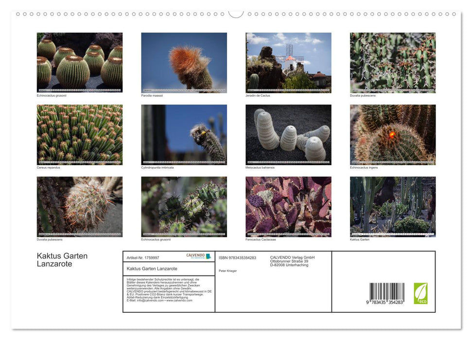 Kaktus Garten Lanzarote (CALVENDO Premium Wandkalender 2025)