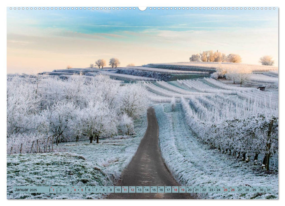 Zauberhafte Ortenau (CALVENDO Premium Wandkalender 2025)