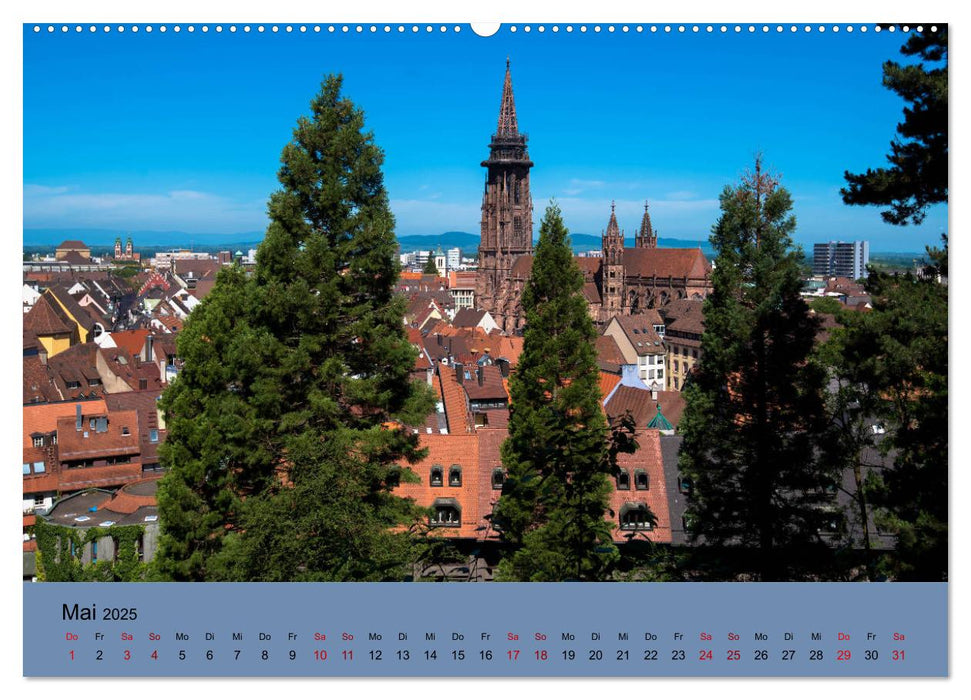 Wundervolles Freiburg (CALVENDO Premium Wandkalender 2025)