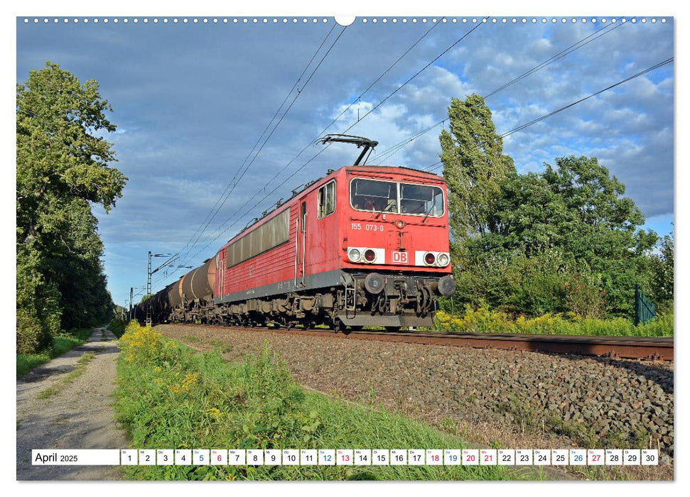 Die Baureihe 250 - Reichsbahnlok in DB-Diensten (CALVENDO Premium Wandkalender 2025)