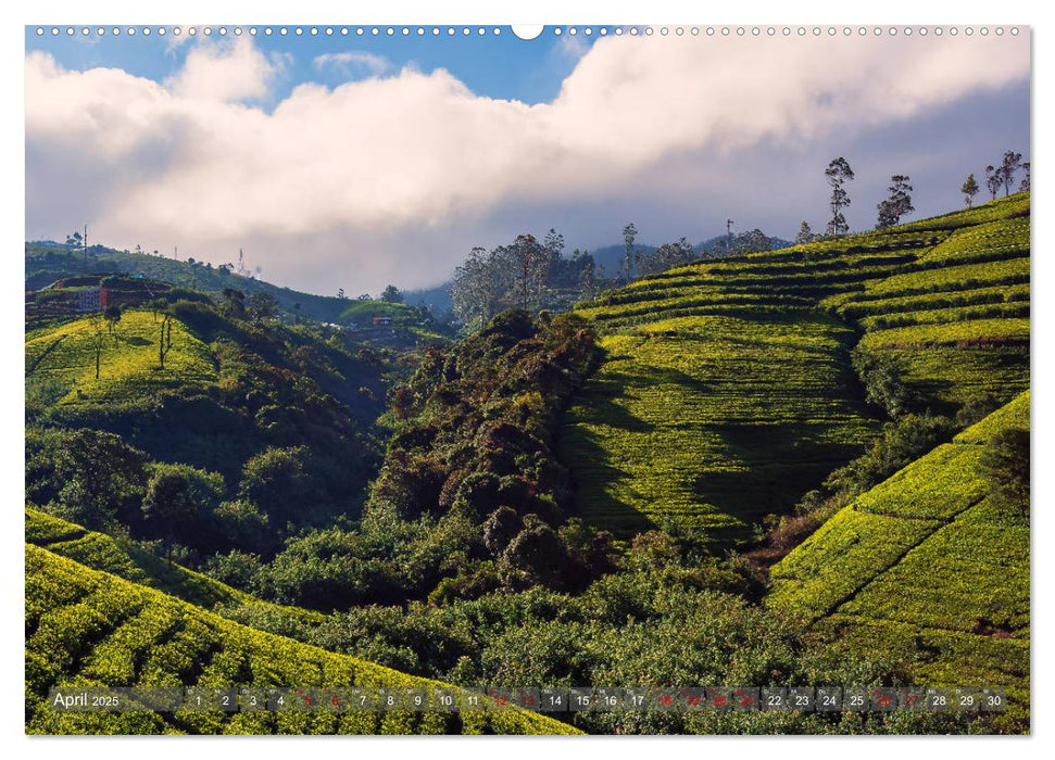 Reise nach Sri Lanka (CALVENDO Premium Wandkalender 2025)