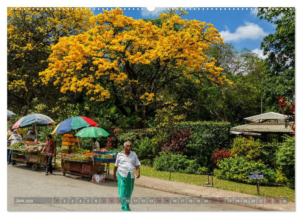 Reise nach Sri Lanka (CALVENDO Premium Wandkalender 2025)