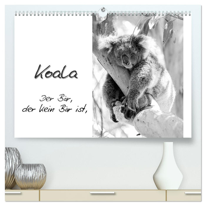 Koala Ein Bär, der kein Bär ist (CALVENDO Premium Wandkalender 2025)