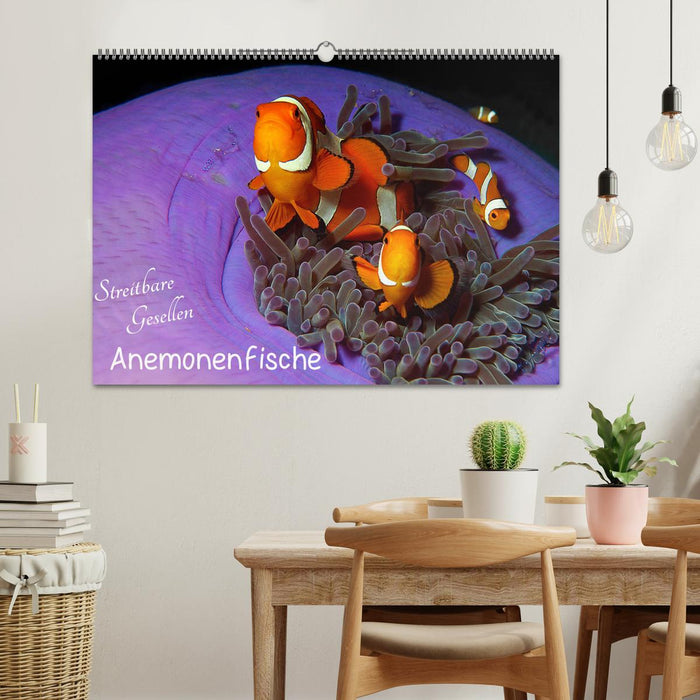 Anemonenfische - Streitbare Gesellen (CALVENDO Wandkalender 2025)