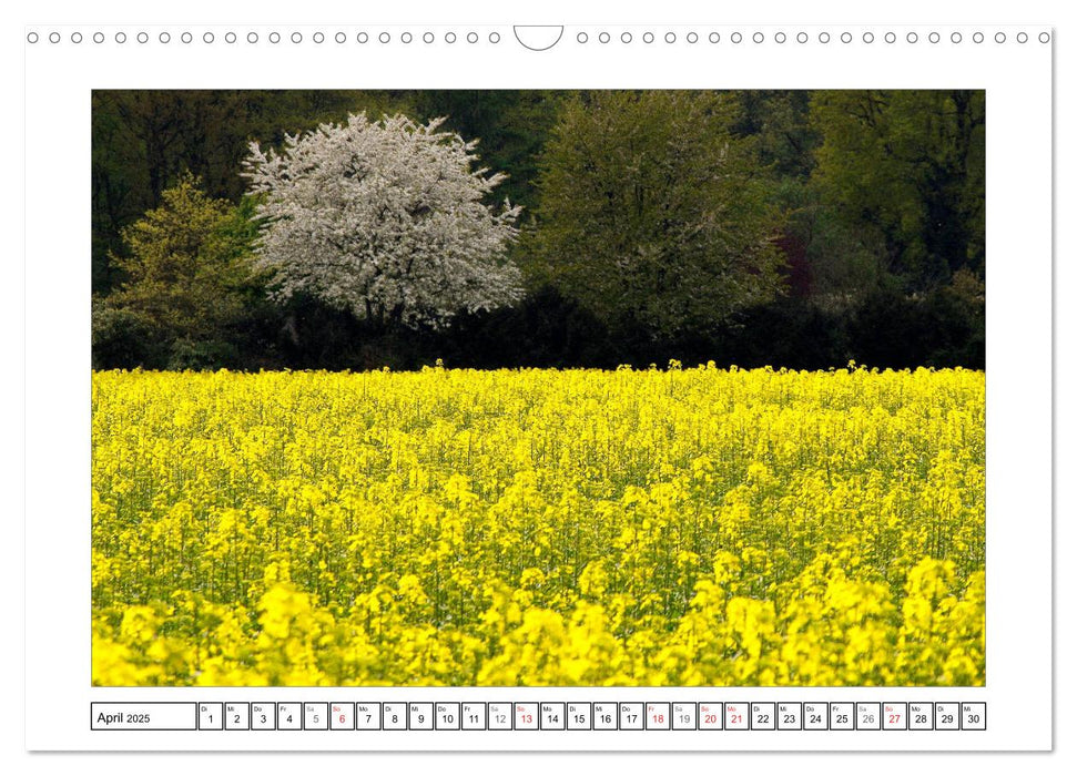 Am Niederrhein. Der Altkreis Moers (CALVENDO Wandkalender 2025)