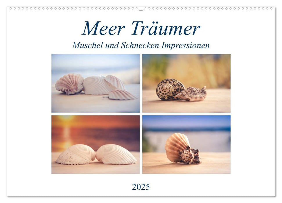 Meer Träumer - Muscheln und Schnecken Impressionen (CALVENDO Wandkalender 2025)