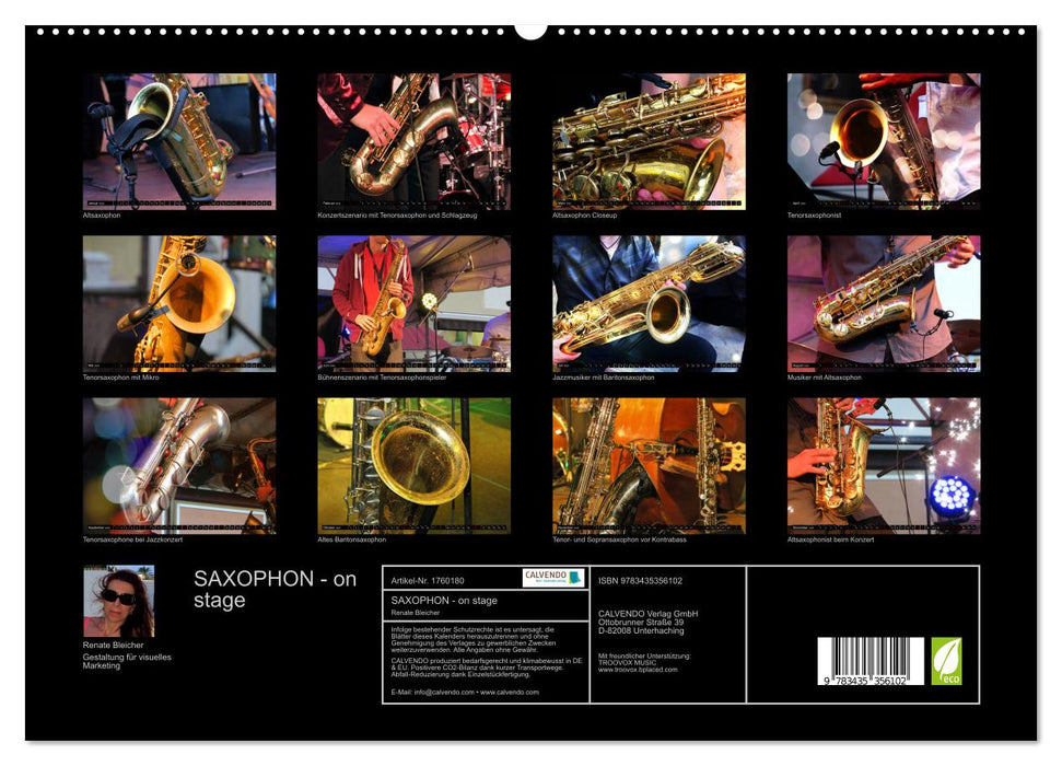 SAXOPHON - on stage (CALVENDO Premium Wandkalender 2025)