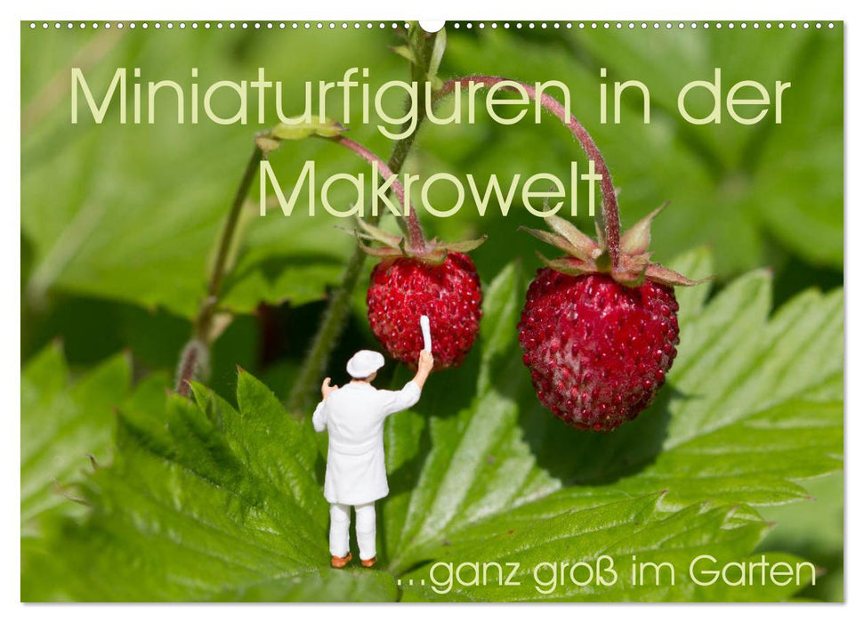 Miniaturfiguren in der Makrowelt ...ganz groß im Garten (CALVENDO Wandkalender 2025)