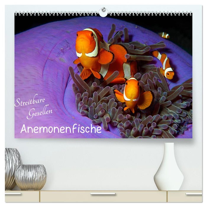 Anemonenfische - Streitbare Gesellen (CALVENDO Premium Wandkalender 2025)