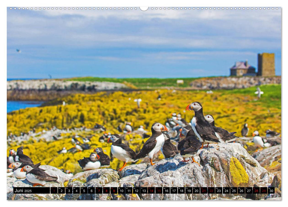 Blickpunkte Nordenglands (CALVENDO Premium Wandkalender 2025)