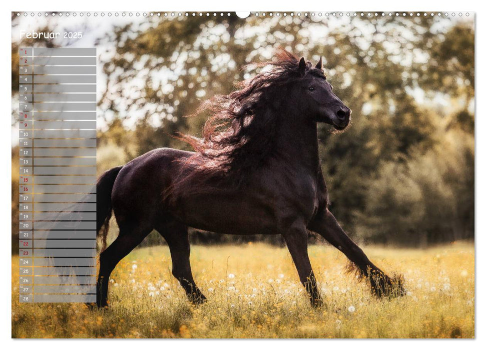 Pferde - Spiegel deiner Seele (CALVENDO Wandkalender 2025)
