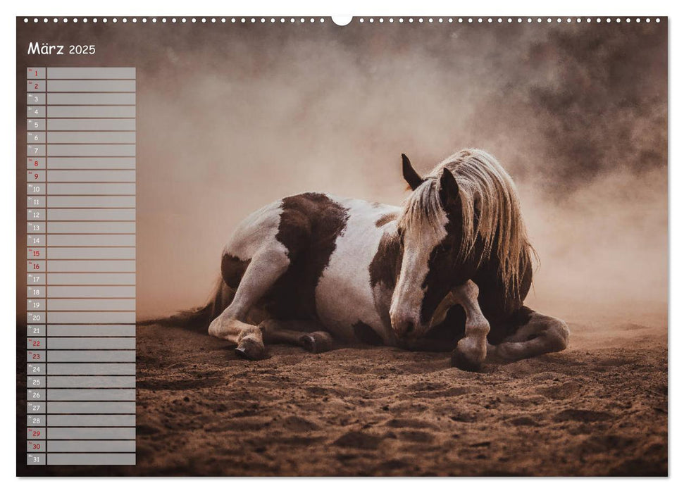 Pferde - Spiegel deiner Seele (CALVENDO Wandkalender 2025)