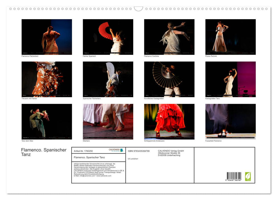 Flamenco. Spanischer Tanz (CALVENDO Wandkalender 2025)