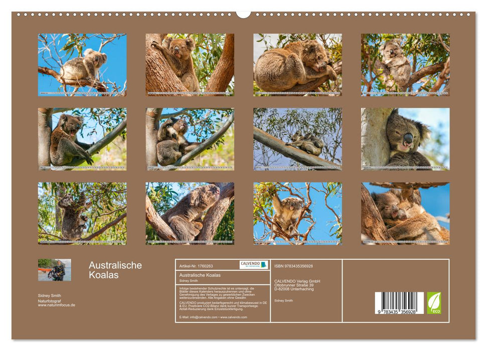 Australische Koalas (CALVENDO Premium Wandkalender 2025)