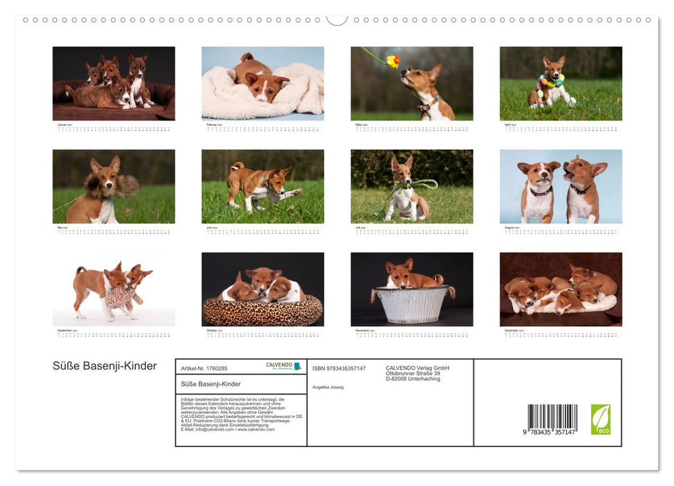 Süße Basenji-Kinder (CALVENDO Premium Wandkalender 2025)