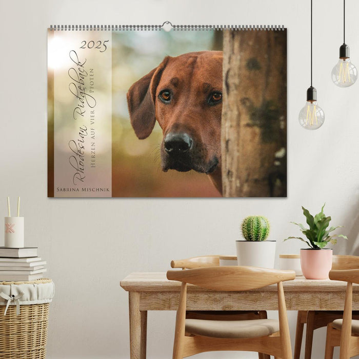 Rhodesian Ridgeback - Herzen auf vier Pfoten (CALVENDO Wandkalender 2025)