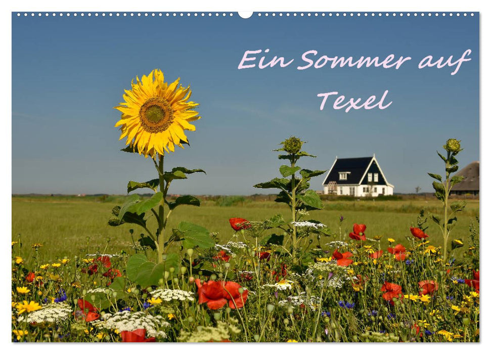 Ein Sommer auf Texel (CALVENDO Wandkalender 2025)