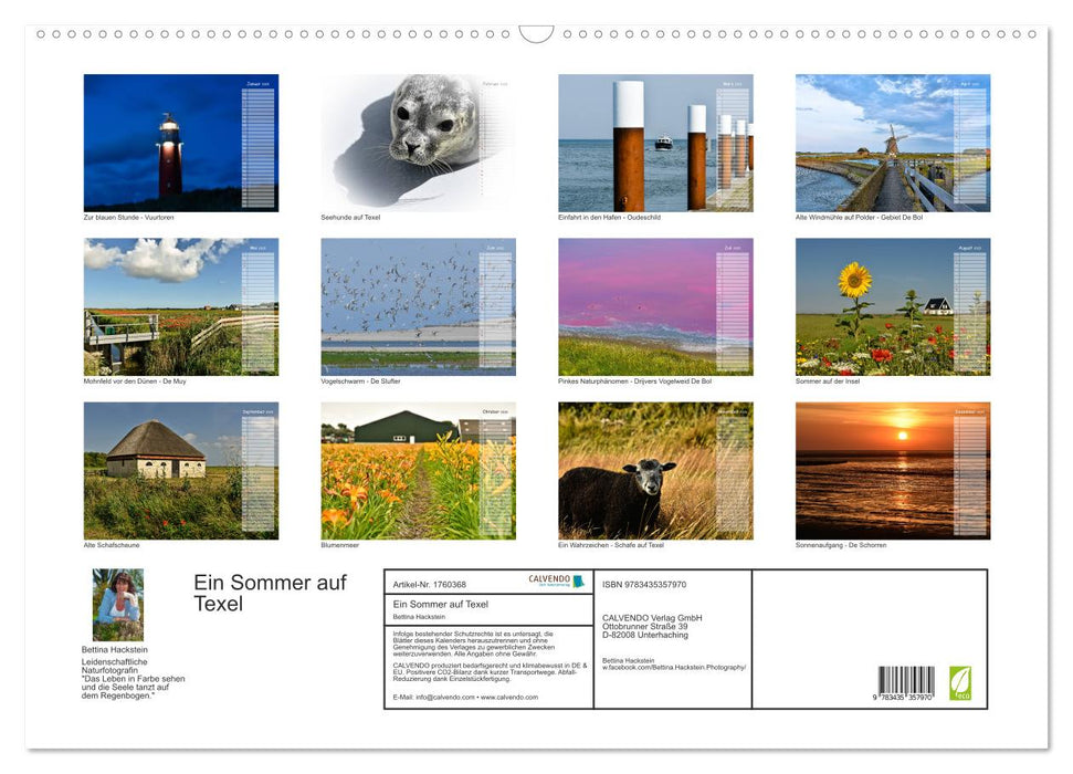 Ein Sommer auf Texel (CALVENDO Wandkalender 2025)