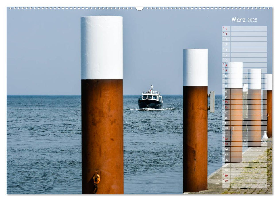 Ein Sommer auf Texel (CALVENDO Wandkalender 2025)