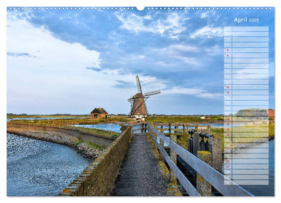 Ein Sommer auf Texel (CALVENDO Wandkalender 2025)