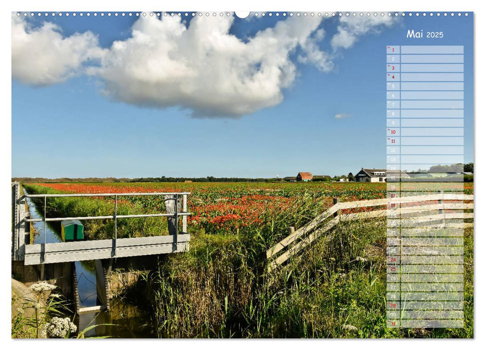 Ein Sommer auf Texel (CALVENDO Wandkalender 2025)