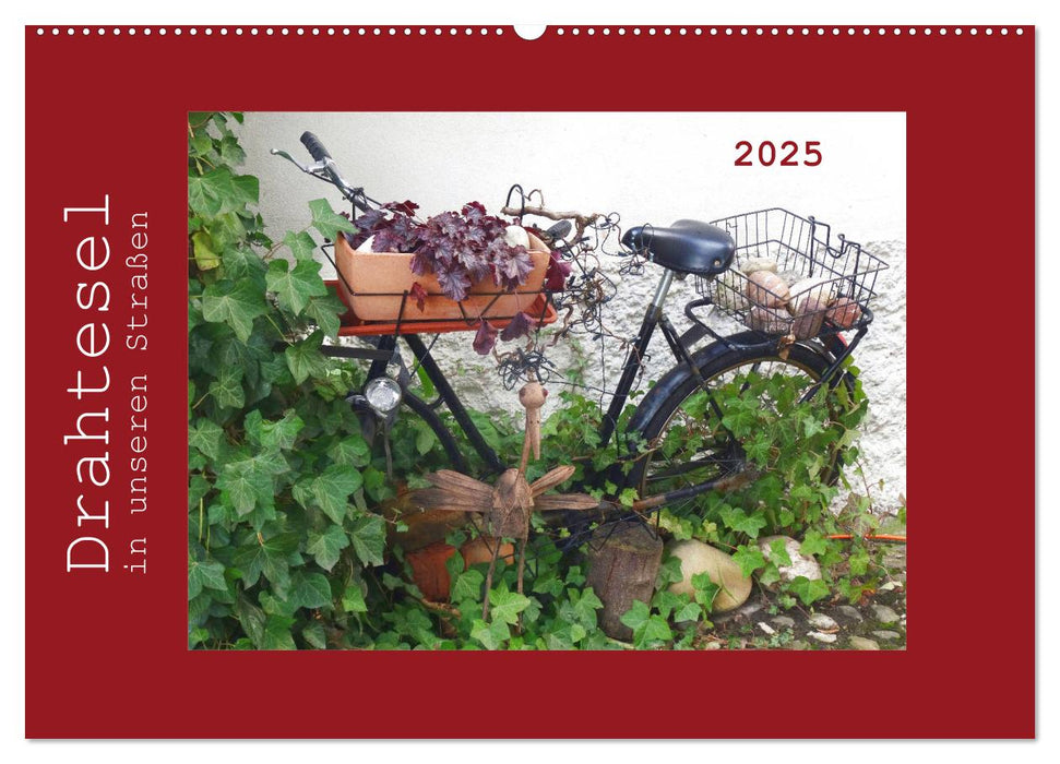 Drahtesel in unseren Straßen (CALVENDO Wandkalender 2025)