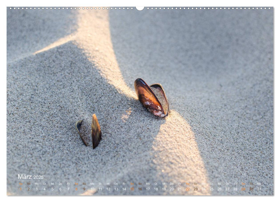 Flandern - Stadt und Strand (CALVENDO Premium Wandkalender 2025)