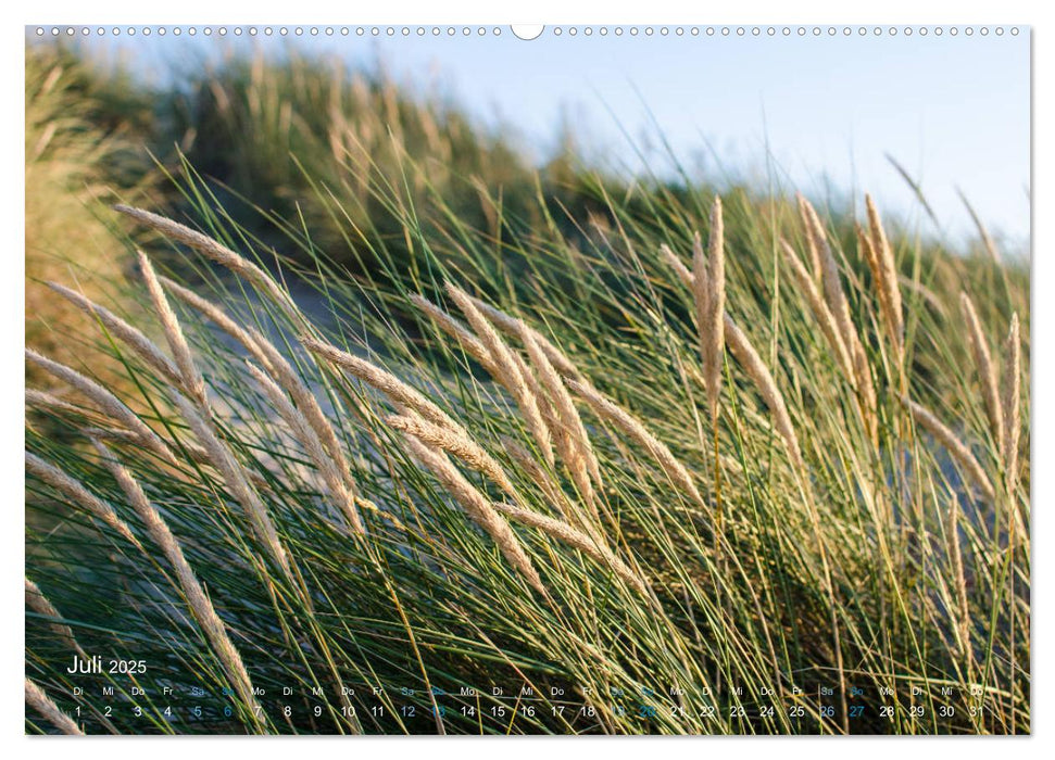 Flandern - Stadt und Strand (CALVENDO Premium Wandkalender 2025)