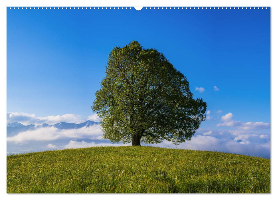 Schöne Wanderungen um Oberstdorf (CALVENDO Wandkalender 2025)