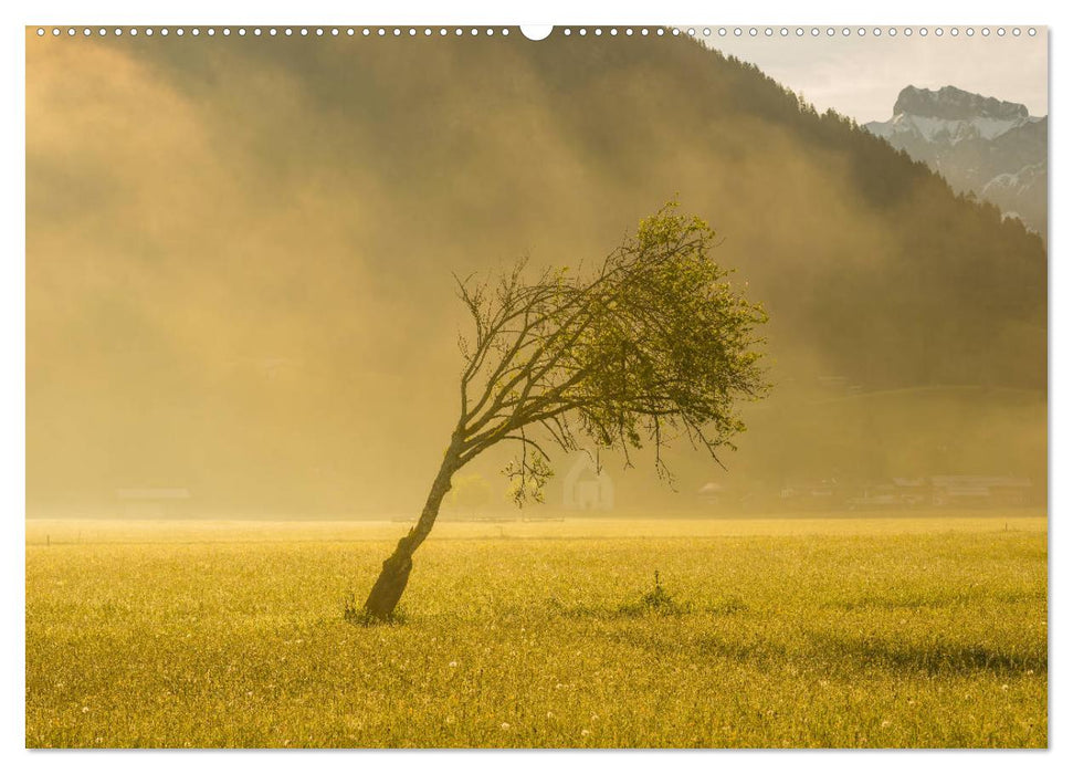 Schöne Wanderungen um Oberstdorf (CALVENDO Wandkalender 2025)