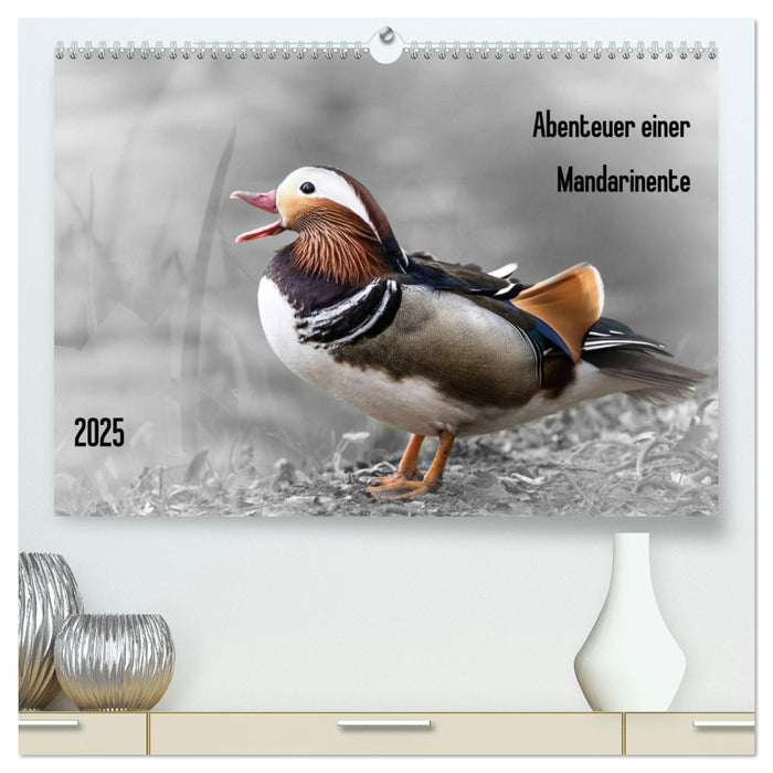 Abenteuer einer Mandarinente (CALVENDO Premium Wandkalender 2025)