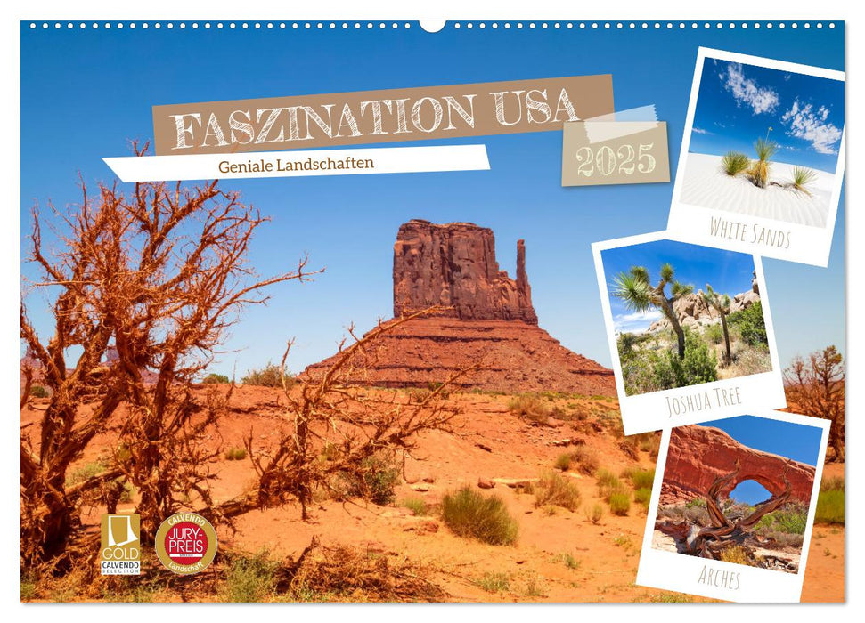 FASZINATION USA Geniale Landschaften (CALVENDO Wandkalender 2025)