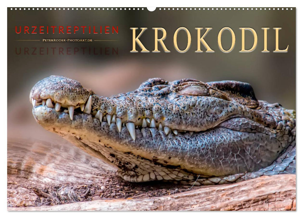 Urzeitreptilien - Krokodil (CALVENDO Wandkalender 2025)