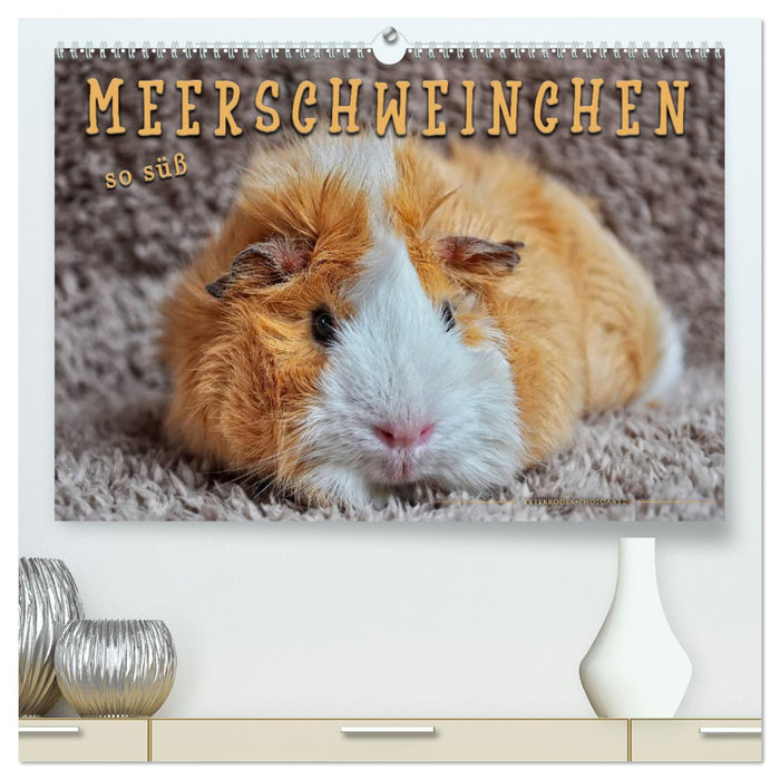 Meerschweinchen - so süß (CALVENDO Premium Wandkalender 2025)