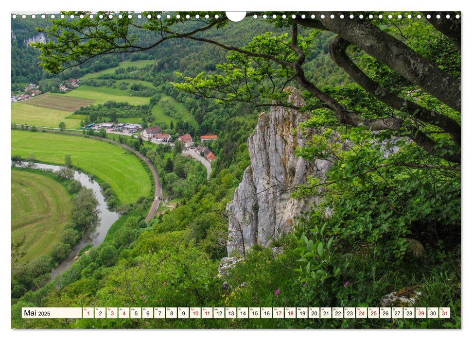 Obere Donau (CALVENDO Wandkalender 2025)