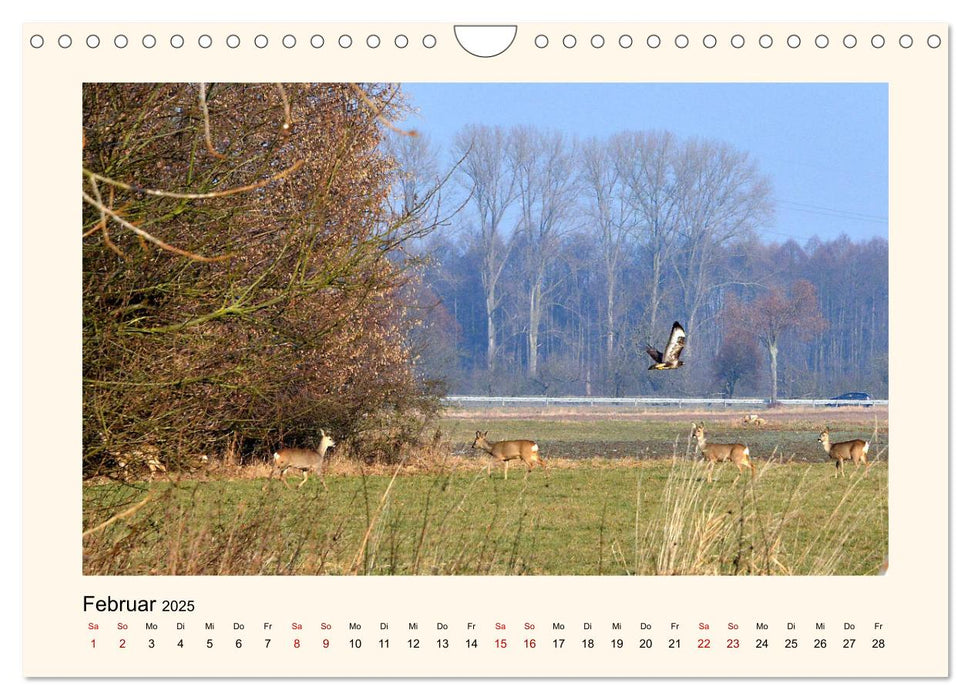 Schöne Ansichten - Heppenheim an der Bergstraße (CALVENDO Wandkalender 2025)