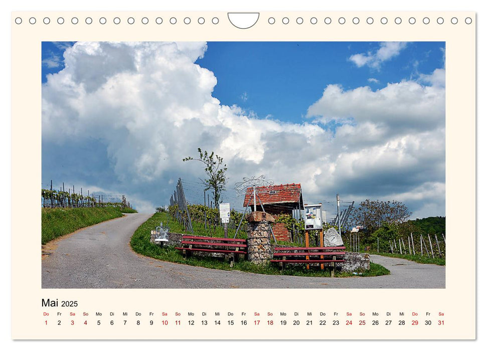 Schöne Ansichten - Heppenheim an der Bergstraße (CALVENDO Wandkalender 2025)