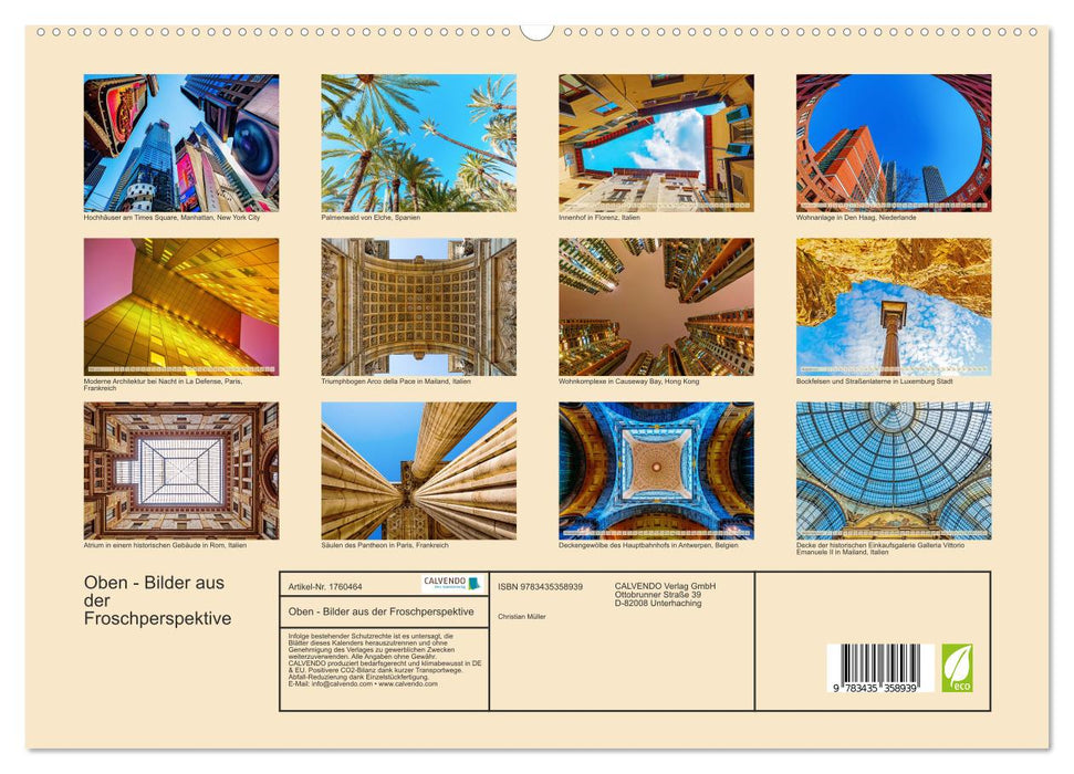 Oben - Bilder aus der Froschperspektive (CALVENDO Premium Wandkalender 2025)