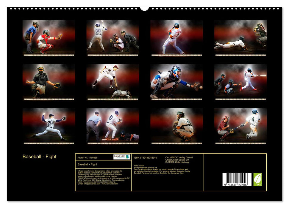 Baseball - Fight (CALVENDO Premium Wandkalender 2025)