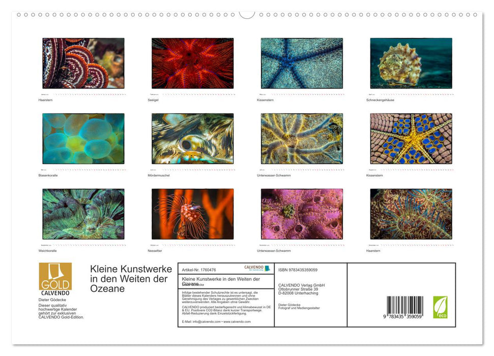 Kleine Kunstwerke in den Weiten der Ozeane (CALVENDO Premium Wandkalender 2025)