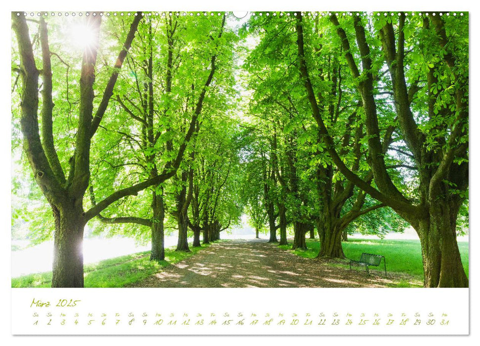 Kölner Natur. Auszeit Decksteiner Weiher (CALVENDO Wandkalender 2025)