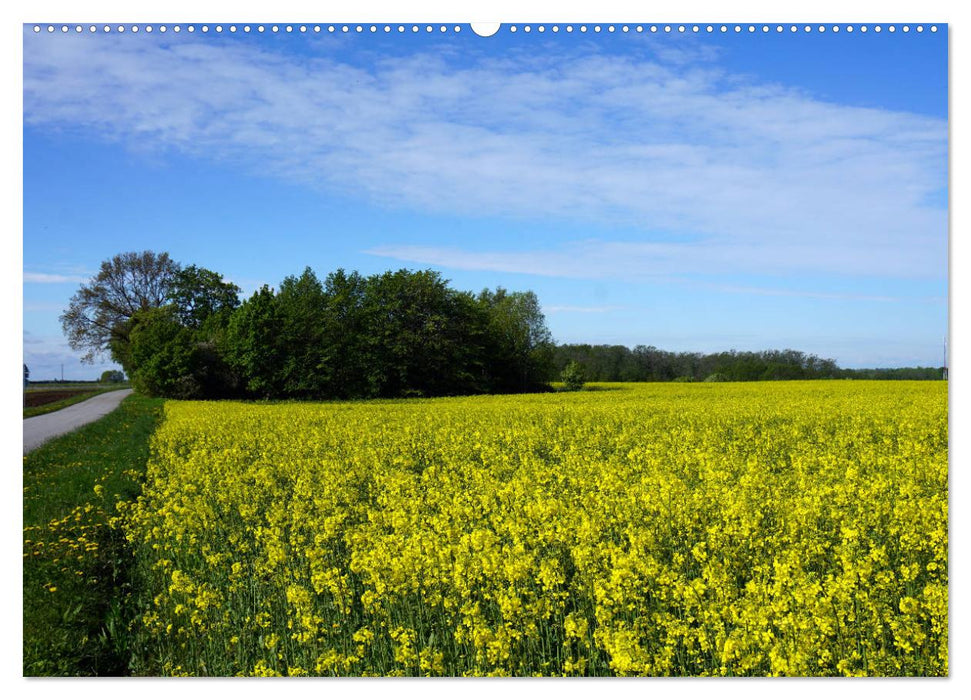 Traumland Estland - Erkundungen zwischen Saka und Narva (CALVENDO Premium Wandkalender 2025)